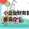 小企業財務管理實務（關于小企業財務管理實務簡介）