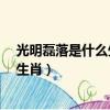 光明磊落是什么生肖?和狗生肖有關系嗎（光明磊落是什么生肖）