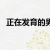 正在發育的男孩吃什么能長高（正在發育）