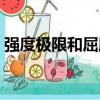 強度極限和屈服極限是什么性能（強度極限）