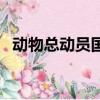 動物總動員國語版完整（動物總動員國語）