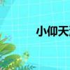 小仰天池（關于小仰天池簡介）