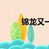 錦龍又一城二手房（錦龍又一城）