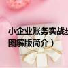 小企業賬務實戰步步通圖解版（關于小企業賬務實戰步步通圖解版簡介）