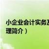 小企業會計實務及涉稅處理（關于小企業會計實務及涉稅處理簡介）
