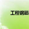 工程鋼筋圖紙大全（工程鋼筋圖紙）