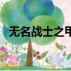 無名戰士之甲加多少力量（無名戰士之甲）