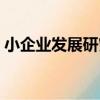 小企業發展研究（關于小企業發展研究簡介）
