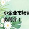 小企業市場營銷實務（關于小企業市場營銷實務簡介）