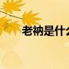 老衲是什么意思?（老衲是什么意思）