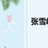張雪峰李小璐（王峰 李璐）