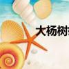 大楊樹疫情最新情況（大楊樹）