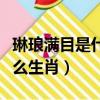琳瑯滿目是什么生肖視頻解釋（琳瑯滿目是什么生肖）