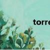 torrentkitty怎么進不去了