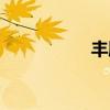 豐胸衣價格（豐胸衣）