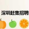 深圳趕集招聘網最新招聘（深圳趕集招聘網）