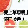 愛上草原愛上你廣場舞完整版（愛上草原愛上你廣場舞）