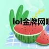 lol金牌網吧加速器（金牌網吧加速器）