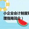 小企業會計制度賬務處理指南（關于小企業會計制度賬務處理指南簡介）