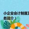 小企業會計制度及操作實務（關于小企業會計制度及操作實務簡介）