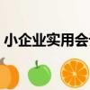 小企業實用會計（關于小企業實用會計簡介）