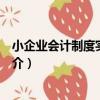 小企業會計制度實用指南（關于小企業會計制度實用指南簡介）