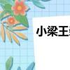 小梁王柴桂介紹（小梁王柴桂）