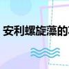 安利螺旋藻的功效與作用機理（安利螺旋藻）
