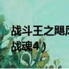 戰斗王之颶風戰魂4櫻花動漫（戰斗王之颶風戰魂4）