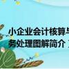 小企業會計核算與稅務處理圖解（關于小企業會計核算與稅務處理圖解簡介）