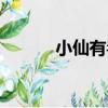 小仙有毒（關于小仙有毒簡介）