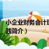 小企業財務會計理論與實踐（關于小企業財務會計理論與實踐簡介）