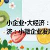 小企業·大經濟：小微企業發展政策研究（關于小企業·大經濟：小微企業發展政策研究簡介）
