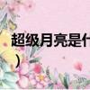 超級月亮是什么意思呀（超級月亮是什么意思）