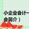 小企業會計一學就會（關于小企業會計一學就會簡介）