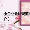 小企業會計規范操作實務（關于小企業會計規范操作實務簡介）
