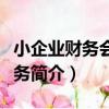 小企業財務會計實務（關于小企業財務會計實務簡介）