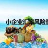 小企業匯率風險管理一本通（關于小企業匯率風險管理一本通簡介）