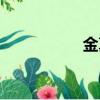 金真兒生日（金真兒）
