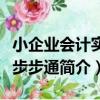 小企業會計實戰步步通（關于小企業會計實戰步步通簡介）