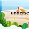 undersecretary 和 vice minister
