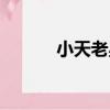 小天老星（關于小天老星簡介）