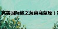 完美國際迷之薄離離草原(完美國際迷之薄)