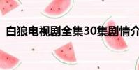 白狼電視劇全集30集劇情介紹黑狼死了么??