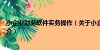 小企業財務軟件實務操作(關于小企業財務軟件實務操作簡介)