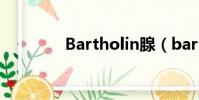 Bartholin腺(bartholin)