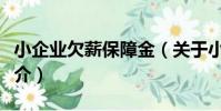 小企業欠薪保障金(關于小企業欠薪保障金簡介)