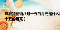 瘋狂猜成語八月十五的月亮是什么成語?(瘋狂猜成語八月十五的月亮)