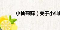 小仙鶴蘚(關于小仙鶴蘚簡介)