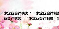 小企業會計實務:“小企業會計制度”實施指南(關于小企業會計實務:“小企業會計制度”實施指南簡介)